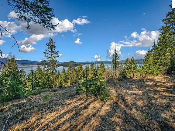 5th image of Nna Big Pine Dr