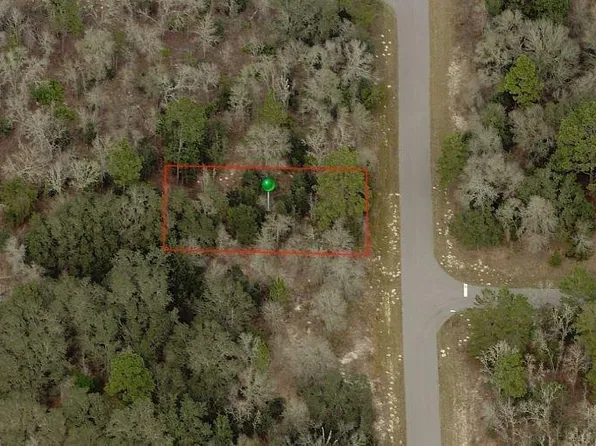 6236 N Varsity Ave, Citrus Springs, FL 34434