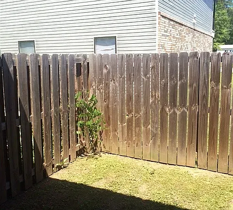 3 bed, 1100 sqft, $1,600 — Photo 4