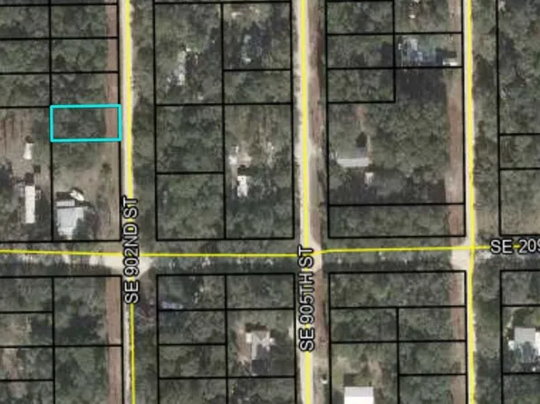 TBD SE 902nd St, Old Town, FL 32680