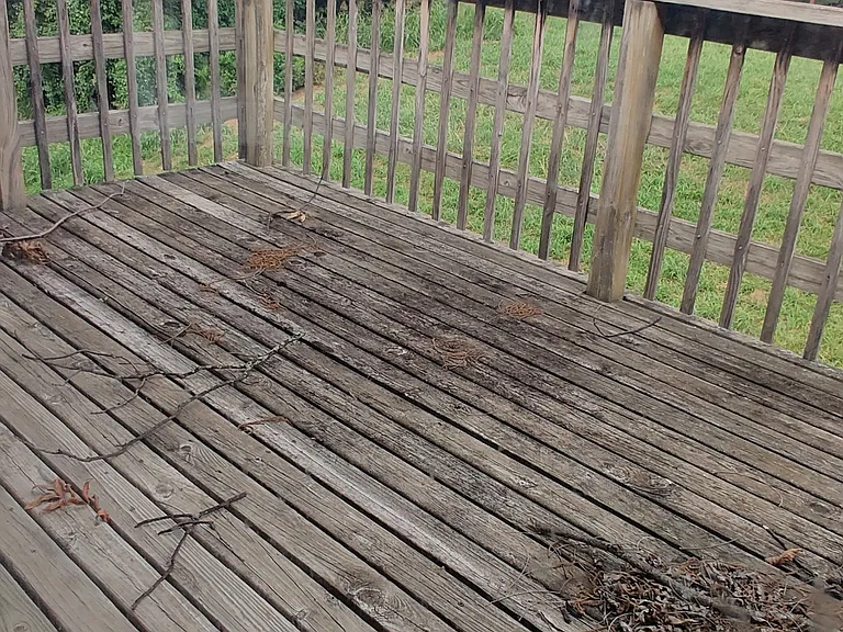 Deck, off of bedroom #1.