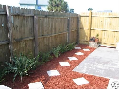 Back yard