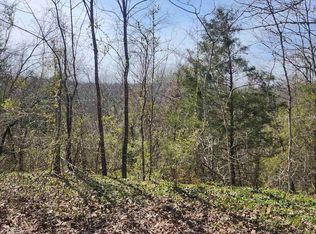 L-3-B Algonquin Cir #24, Cherokee Village, AR 72529