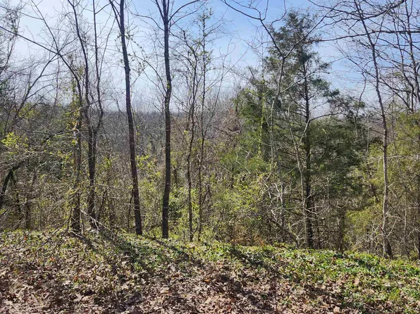 L-3-B Algonquin Cir #24, Cherokee Village, AR 72529