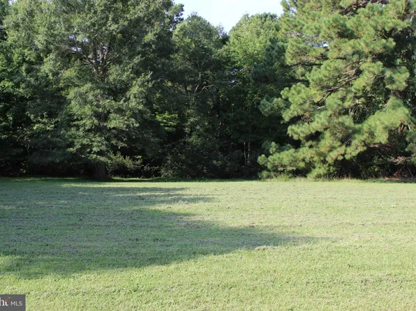184 Davey Jones Blvd, Greenbackville, VA 23356