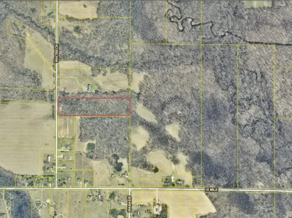 15040 Whitbeck Ave NE, Cedar Springs, MI 49319