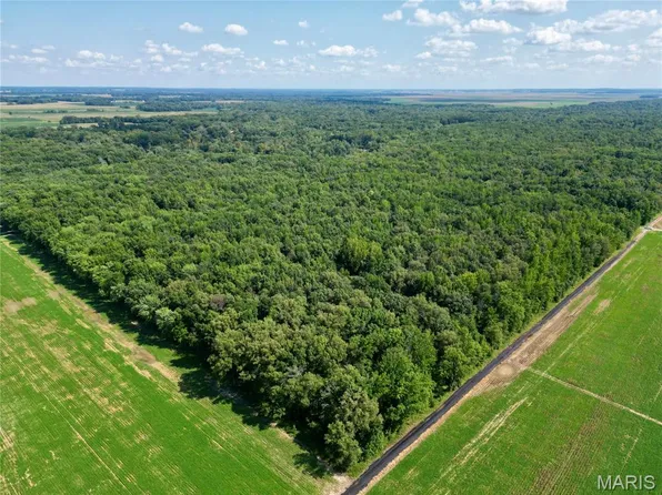 0 County Road 2600, Fairfield, IL 62837