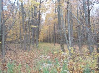 12948 Eleven Mile Rd NE, Greenville, MI 48838