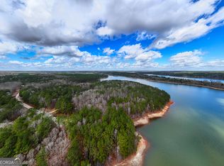 3/ACRE S Happy Hollow Rd, Hampton, GA 30228