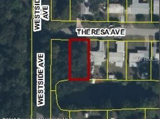Theresa Ave, Weeki wachee, FL 34607