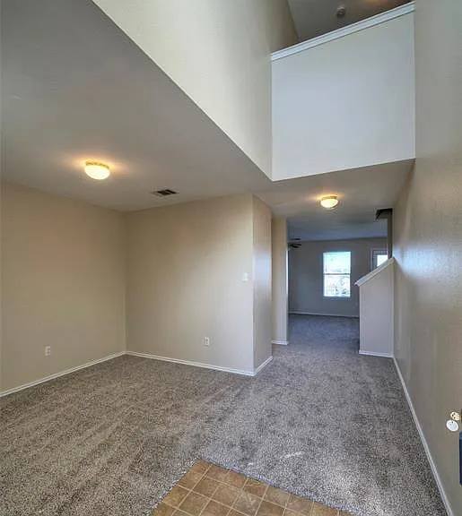 257 Prairie Verbena Dr — Photo 6