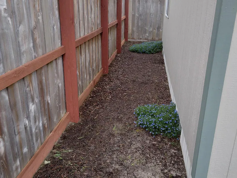 Oak St — Photo 11