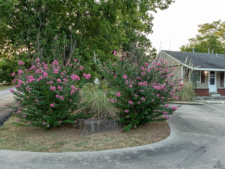 W Haskell St Triplexes — Photo 16