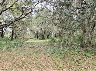 35110 N Treasure Island Ave, Leesburg, FL 34788