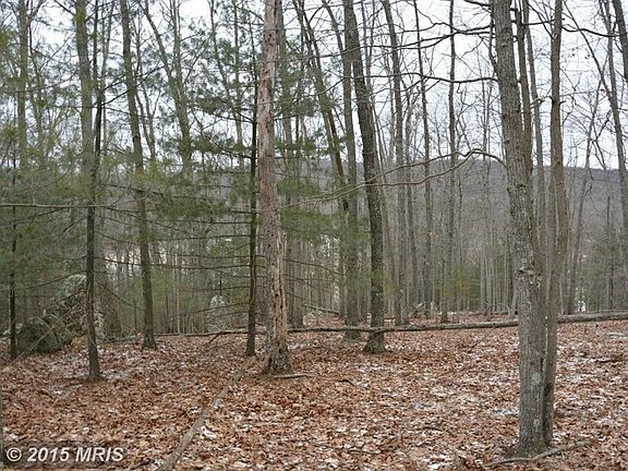 Seasonal views from this lot (looking west)