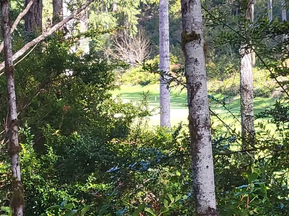 21 E Dogwood Court, Union, WA 98592