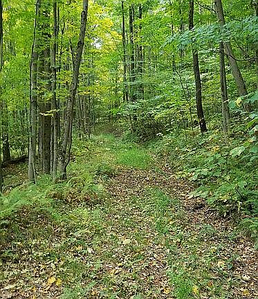 Hike, bike, hunt