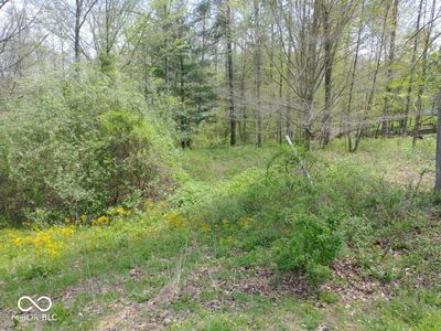 155 Pine Valley Ct, Nashville, IN, 47448