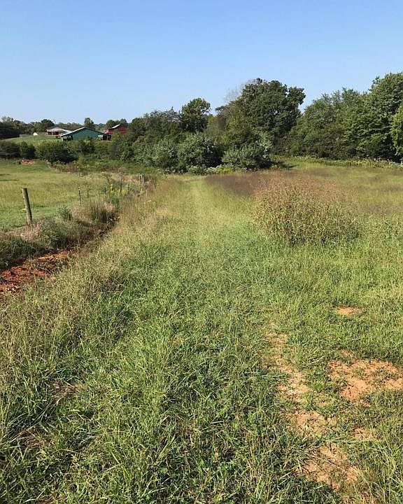 2nd image of Blue Springs Rd