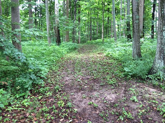 4th image of 1861 W State Road 44