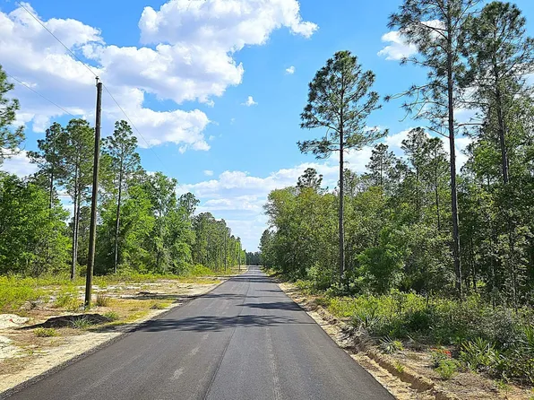5 Turkey Oak Rd, Blackshear, GA 31516