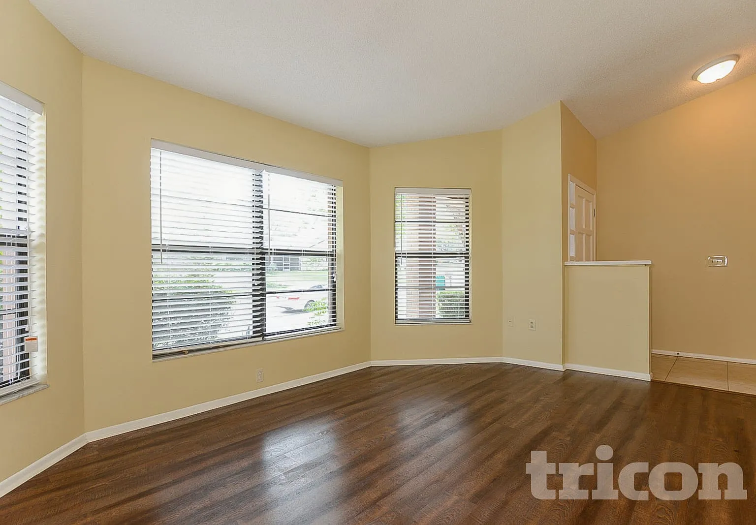 3699 Chatham Drive Palm Harbor FL — Photo 2