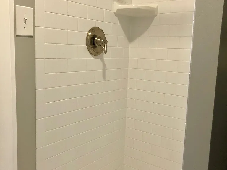 shower in main bathroom