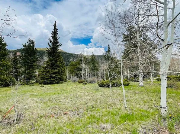 25 Deer Park, Antonito, CO 81120
