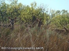3rd image of 14041 County Road C