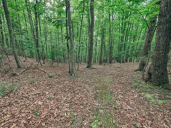5th image of 0 Mount Tabor Rd