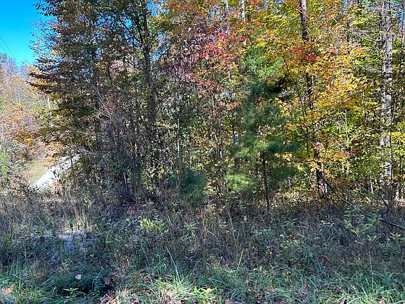2nd image of 2 Buck Creek Cir