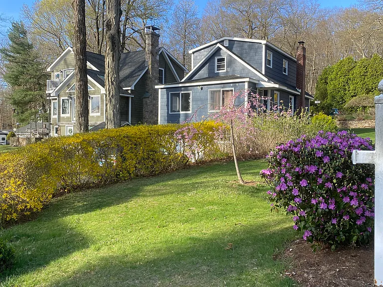 Street view, Spring blooms.
