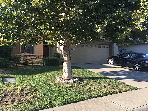 5th image of 317 Hatton Ct