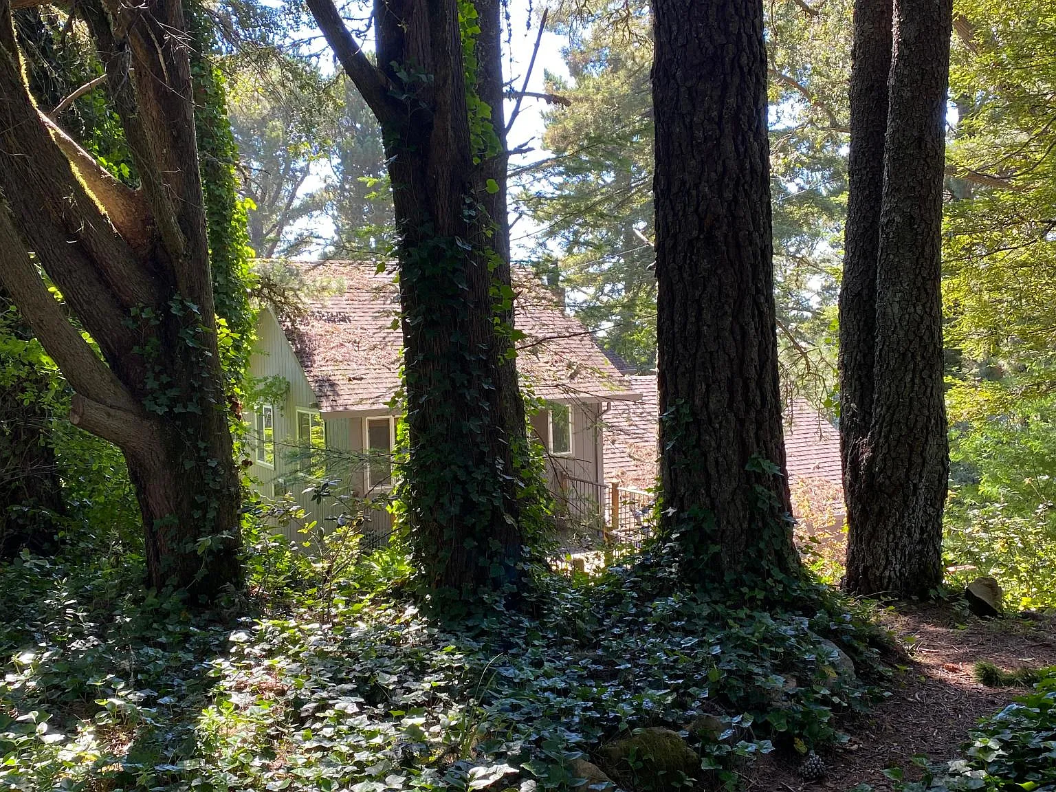 12360 Skyline Blvd — Photo 2
