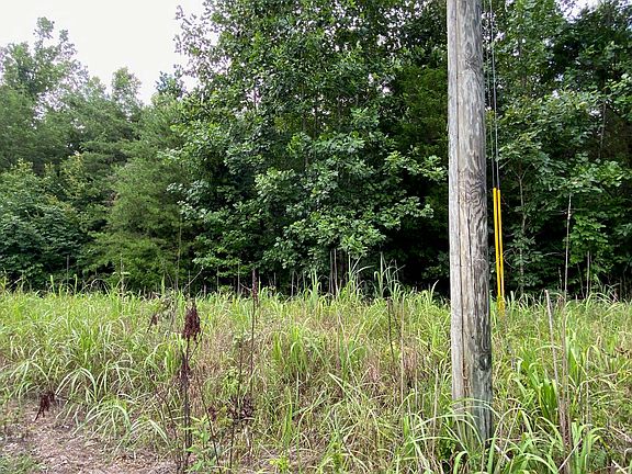 5th image of Gendale & Bald Eagle Dr Lot 5-11-TR3