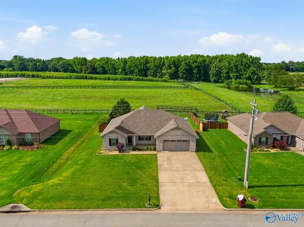 28329 Ferguson Ln, Toney, AL 35773