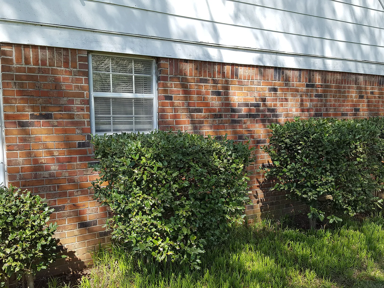 3 bed, 1704 sqft, $1,900 — Photo 3