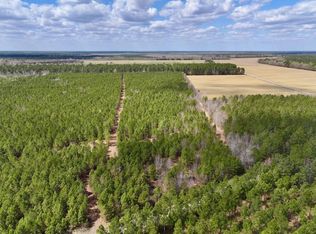 LOT 1 Guinea Mill Rd, Ernul, NC 28527