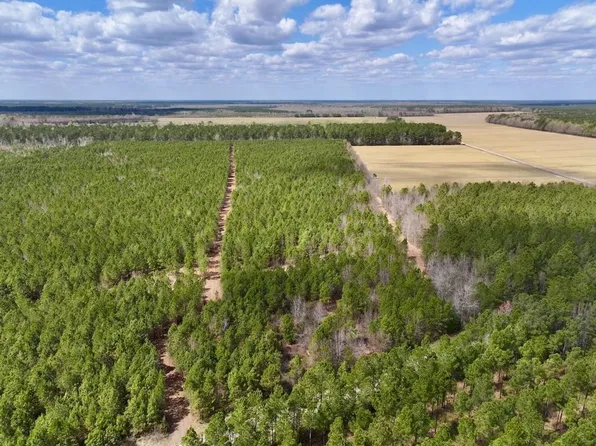 LOT 1 Guinea Mill Rd, Ernul, NC 28527