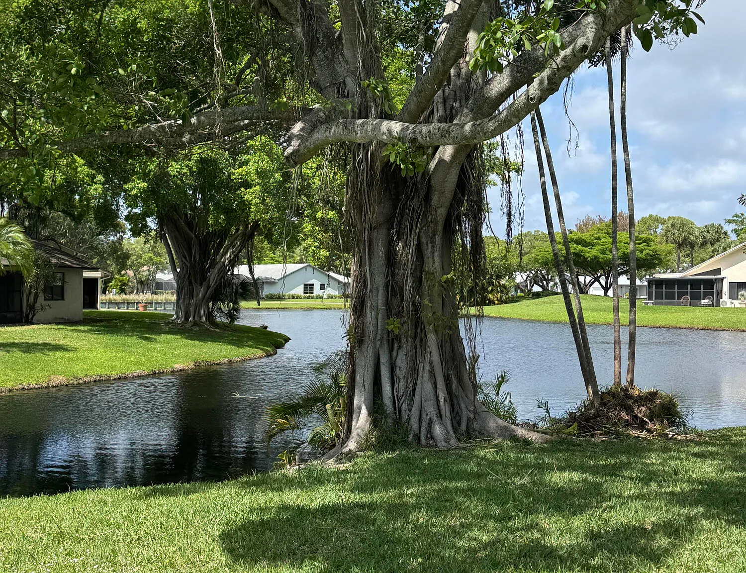 2 bed, 2.0 bath, 1533 sqft, $4,900 — Photo 3