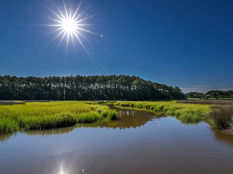 Full Moon Over the Ashley River