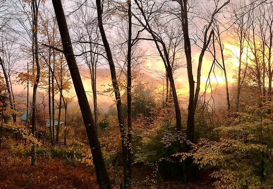 692 Tarigo Rd, Fleischmanns, NY 12430 Zillow