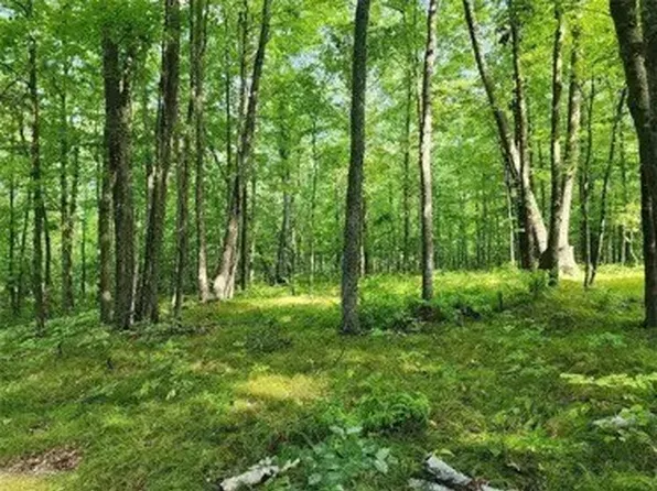 4025 Overland Drive, Danbury, WI 54893