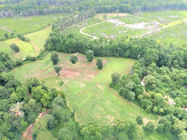 0 Reedy Branch Rd, Hamilton, AL 35570