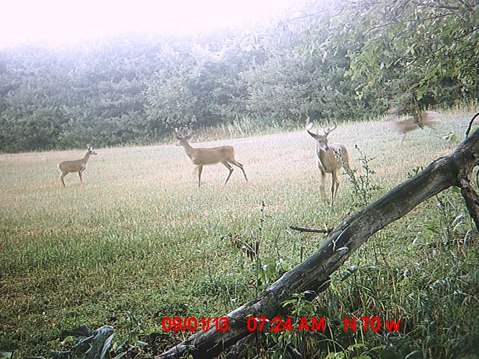 1st image of 4857 240th Ave NW