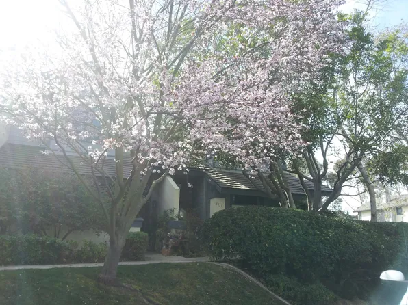 3113 Morning Way, La Jolla, CA 92037