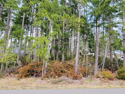 350 E Vine Maple Lane, Union, WA, 98592