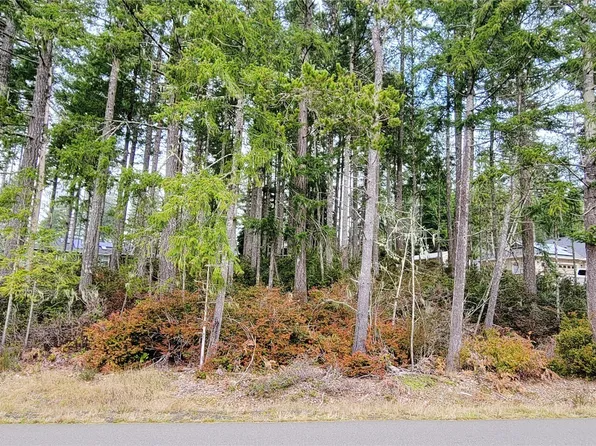 350 E Vine Maple Lane, Union, WA 98592