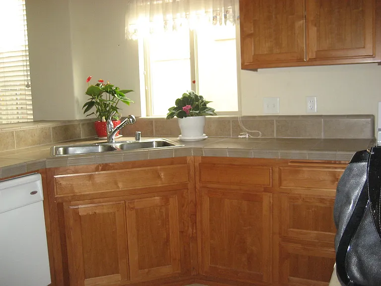 1412 Half Dome Way — Photo 6