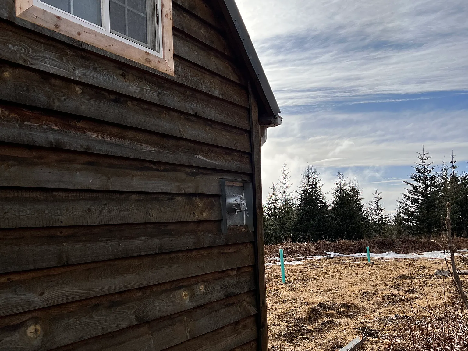 1 bed, 530 sqft, $1,200 — Photo 4